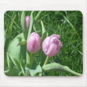 Pink Tulips Mousepad by Country1969 Pink Tulips Mousepad