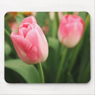 Pink tulips - Mousepad mousepad