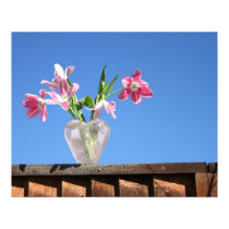 Pink Tulips on the Fence posters