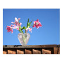 Pink Tulips on the Fence posters by dmsanmartin Pink Tulips on the Fence posters