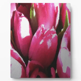 Pink Tulips. Plaque