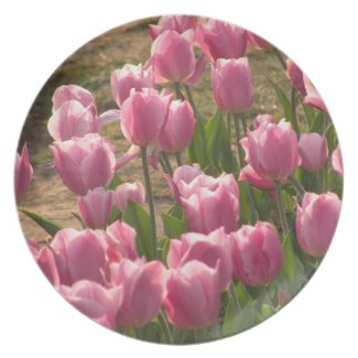 Pink Tulips Plate fuji_plate