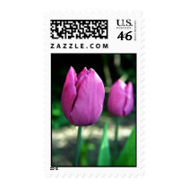 Pink Tulips stamps