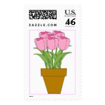 tulips, pink tulips, flowers, floral, garden,