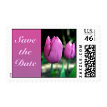 Pink Tulips Save the date postage stamps