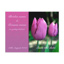Pink Tulips Save the date postcard postcards