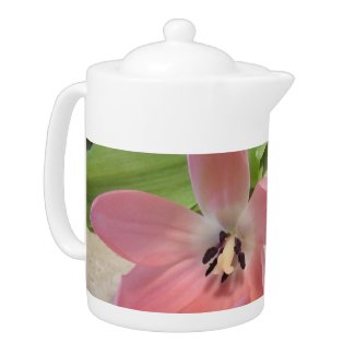 Pink Tulips
