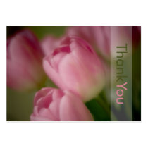 Pink Tulips • Thank You Profilecard by SabineStGreetings Pink Tulips • Thank You Profilecard