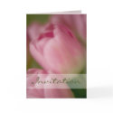 Pink Tulips • Wedding Invitation Card