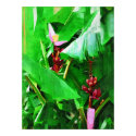 Pink Velvet Banana Tree Tropical Garden Collection posters