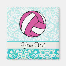 Pink Volleyball; Damask Pattern Magnets