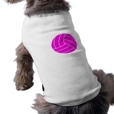 pink volleyball