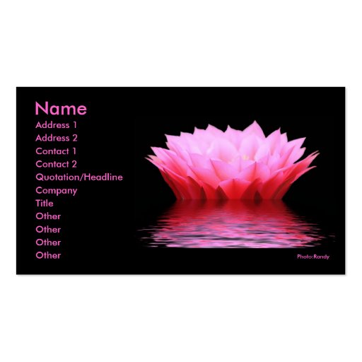 Pink  Water Cactus Flower Business Card