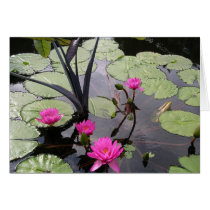 Pink Water Lilies Card