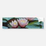 Pink Water Lilies flowers Bumper Sticker