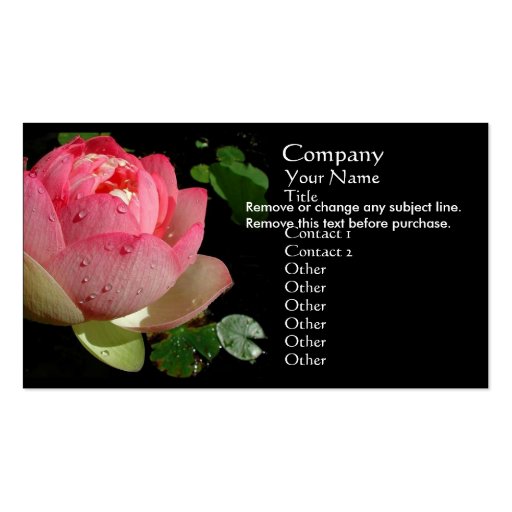 Pink Water Lily Business Card (front side)