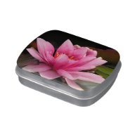 Pink Water Lily Candy Tin