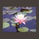 Pink Water Lily Flower canvas prints