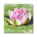 Pink Water Lily Magnet - Square