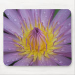 Pink Water Lily Mouse Pad