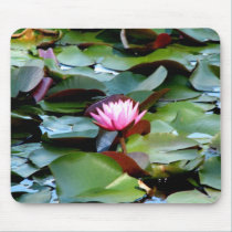 Pink Water Lily mousepads