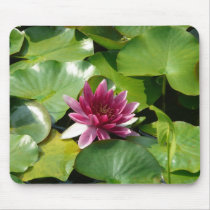 Pink water lily mousepad by Mousepadinc Pink water lily mousepad