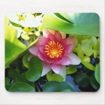 Pink Water Lily mousepads by princessklb07 Pink Water Lily mousepads