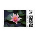Pink Water Lily Postage postage
