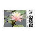 Pink Water Lily Postage postage