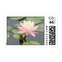 Pink Water Lily Postage postage by FNolan Pink Water Lily Postage postage