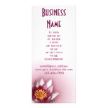 Pink Water Lily rack cards