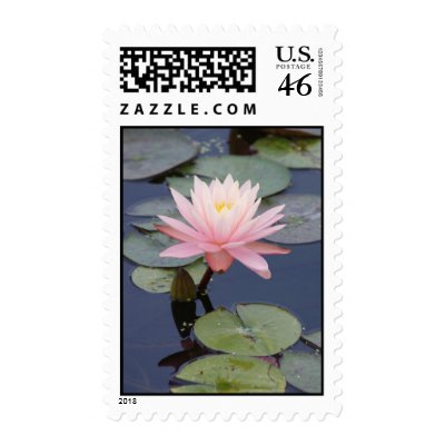 Pink Water Lily Vertical Postage by FNolan