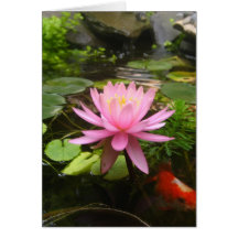 Pink Water Lily with Fish Card