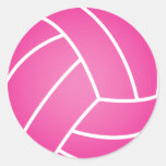 Pink Water Polo Ball Round Stickers