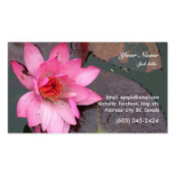 pink waterlily flower business cards