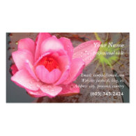 pink waterlily flower business cards