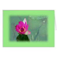 pink waterlily in green rame. greeting card