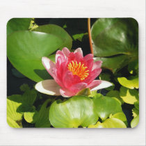 Pink Waterlily mousepads by princessklb07 Pink Waterlily mousepads