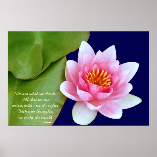 Pink Waterlily With Buddha Quote Poster Zazzle