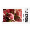 Pink Wedding Flowers postage by TDSwhite Pink Wedding Flowers postage
