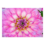 Pink & White Dahlia DSC6068 Custom Invites