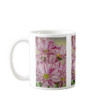 Pink & white daisies