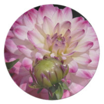 Pink & White Flower Plate plates