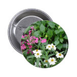 Pink & White Flowers