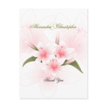 Pink & White Lilies Thank You Post Cards