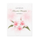 Pink & White Lilies Wedding Save The Date Postcard
