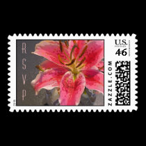 Pink & White Lily postage by ArtByLindaLou Pink & White Lily postage