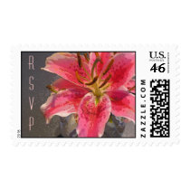 Pink & White Lily stamps