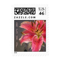 Pink & White Lily Small Vertical stamps