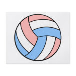 pink white pastel blue volleyball flyer design